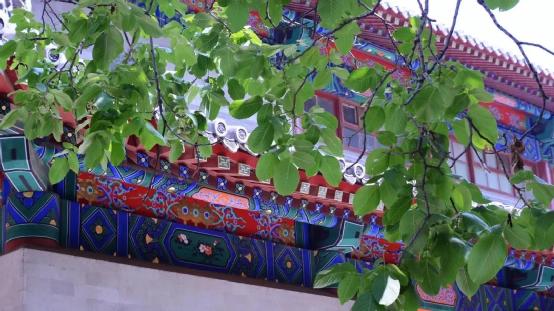 威廉希尔中文官网