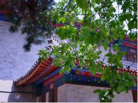 威廉希尔中文官网