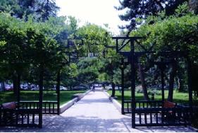 威廉希尔中文官网